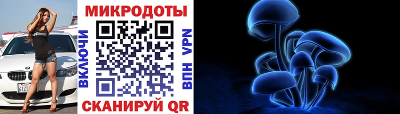 что такое наркотик  Ильский  Галлюциногенные грибы MAGIC MUSHROOMS 
