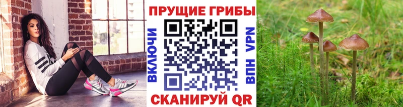 Псилоцибиновые грибы GOLDEN TEACHER Ильский